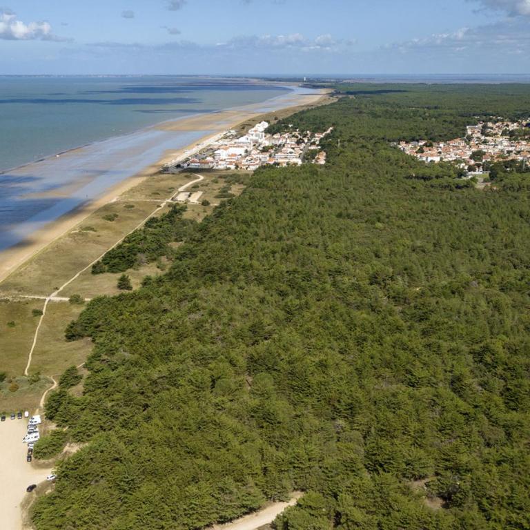 Maison 2 chambres avec terrasse et parking près forêt, plage et pistes cyclables à Saint-Jean-de-Monts - FR-1-323-522 - Casa Vacanze - 15