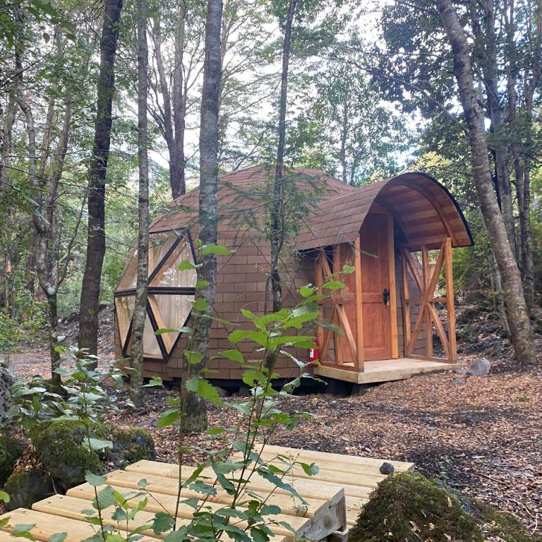 Lodge Domos Awen - Vacation Home - 19