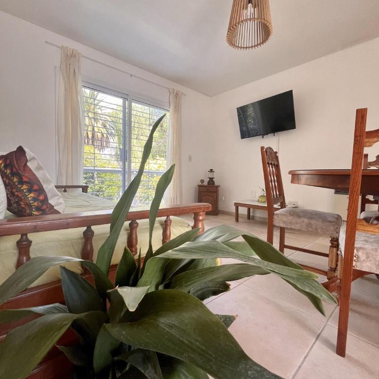 Departamento céntrico con cochera! En pleno centro a una cuadra de Av San Martín - Apartamento con vistas y balcón - 9