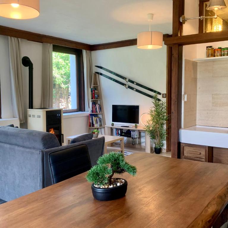 Chalet la Pagode, vue Mont-Blanc et jardin privé - Appartamento con 2 Camere da Letto - 3