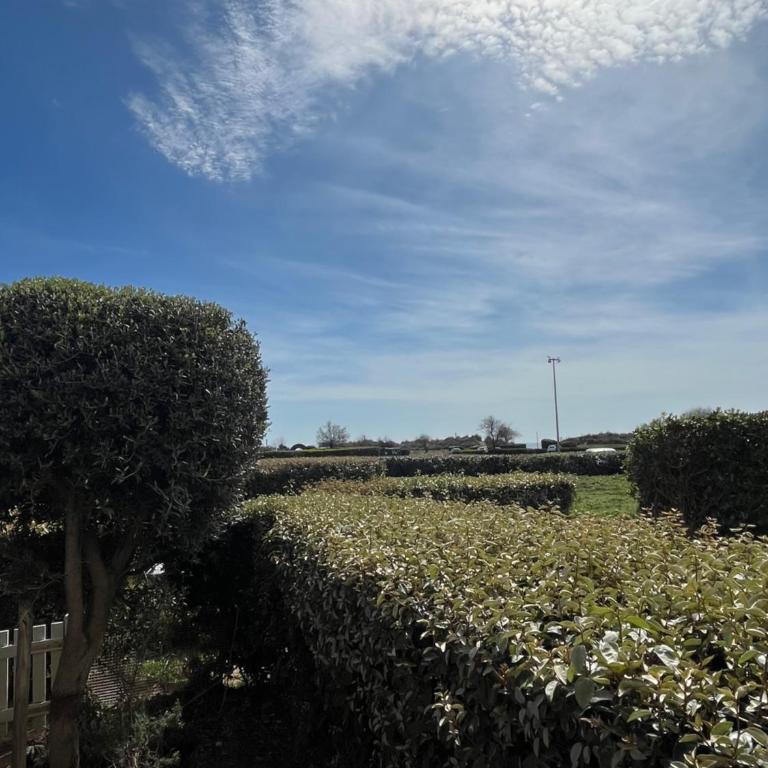 T2 - Les pieds dans le sables en toutes saisons 5 couchages - climatisation - parking privée - piscine - situation optimum et rare - Amoureva - Plage Richelieu- Cap d'Agde - One-Bedroom Apartment - 17