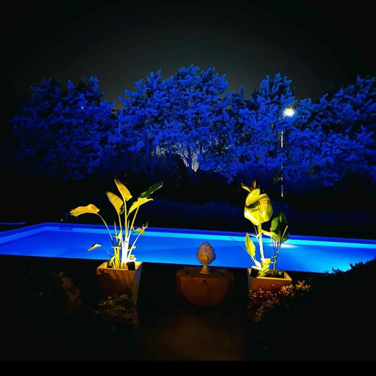 Villa con Piscina Dimora Egnazia - Villa con 3 Camere da Letto - 59
