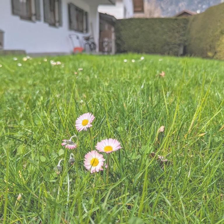 Calm GaP - Apartment mit 1 Schlafzimmer - 20