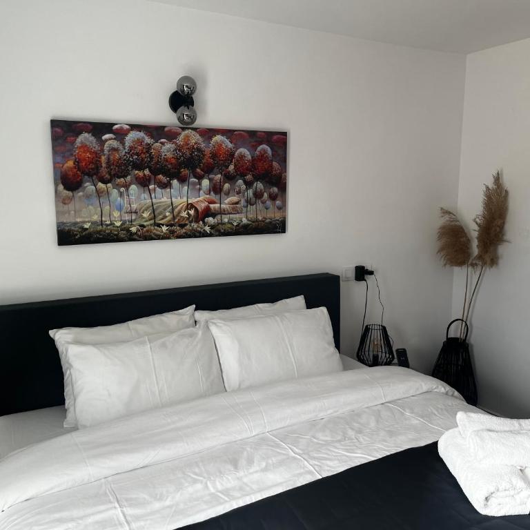 Casa de Ámbar, Bed&Breakfast - Double Room with Terrace - 2