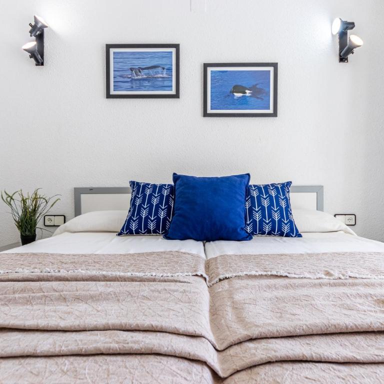 Novelty II Arysal 5 - Apartamento de 1 dormitorio - 6