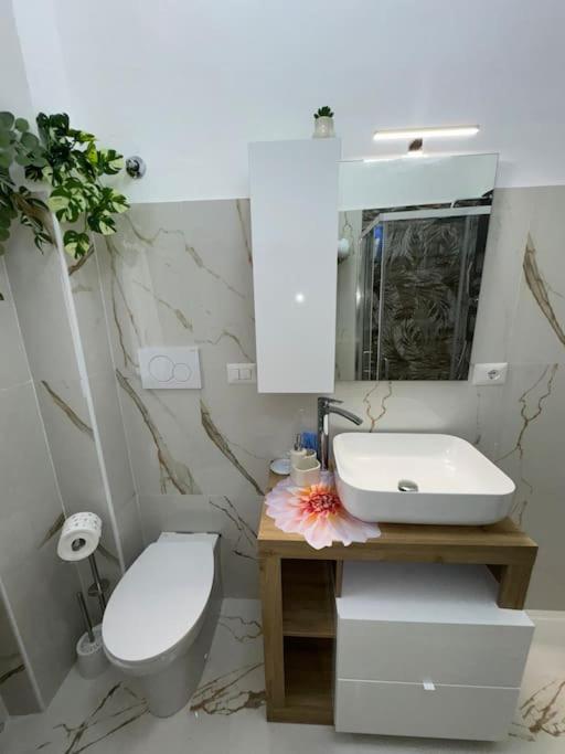RomaFatata: Intero appartamento - Appartement 2 Chambres - 20