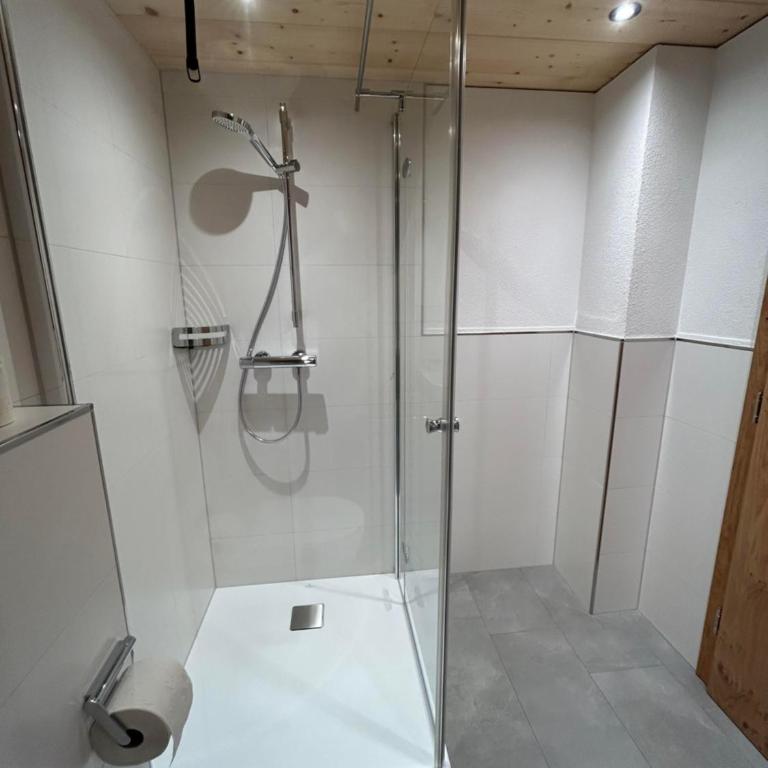 Haus Lechner - Apartment mit 1 Schlafzimmer und Dusche - 5