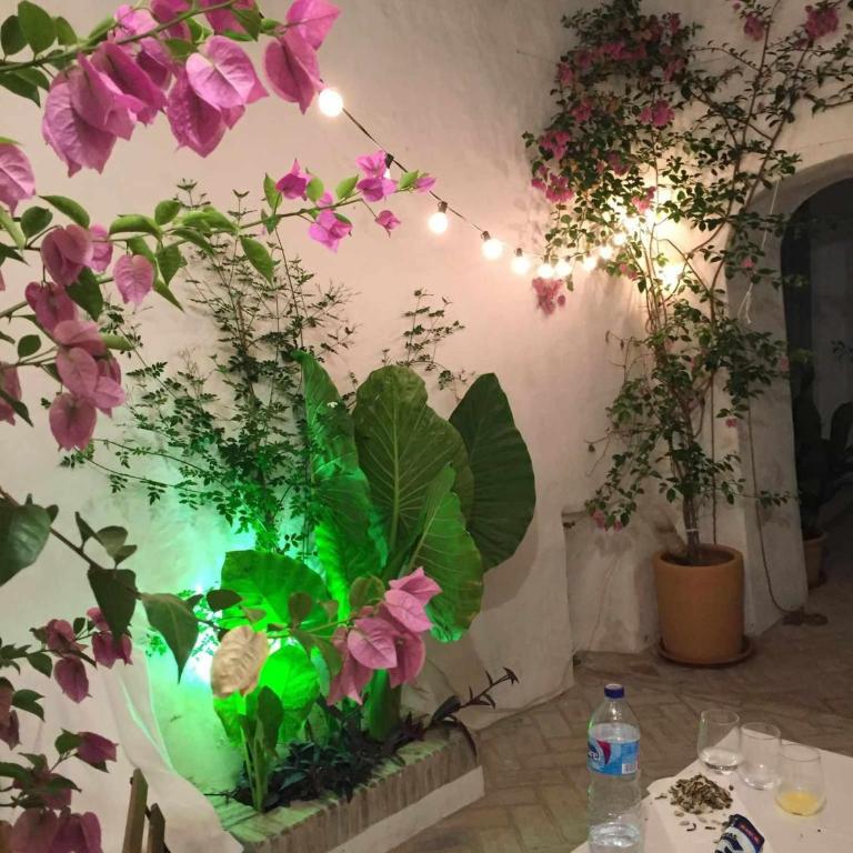 AntiQua centro de Vejer con wifi Grupo AC Gestion - Apartamento de 1 dormitorio - 6