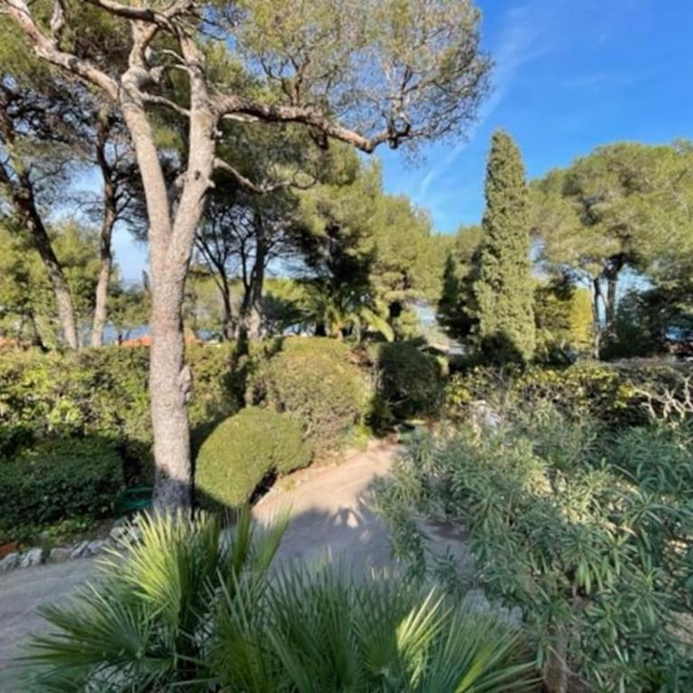Villa de Charme au coeur du Cap-Ferrat - Villa - 33