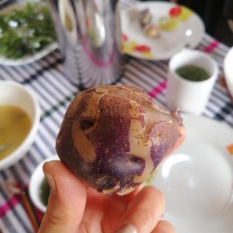 HOMESTAY KINSA COCHA - Habitación Doble con vistas a la montaña - 4