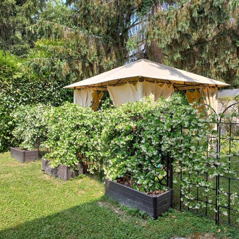 Appartamento Le Magnolie - Appartamento con 1 Camera da Letto - 18