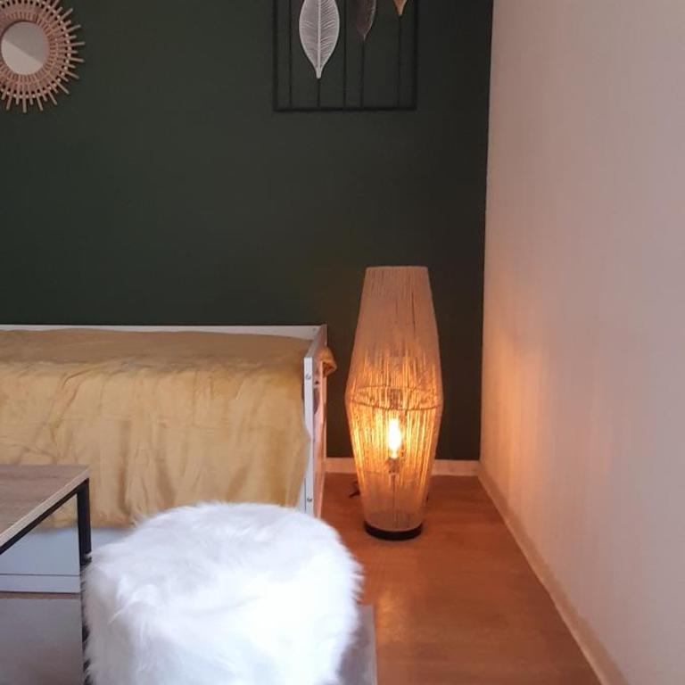 Appartement du Mouflon Vert, dans résidence de tourisme 3 étoiles - Appartamento Monolocale - 7
