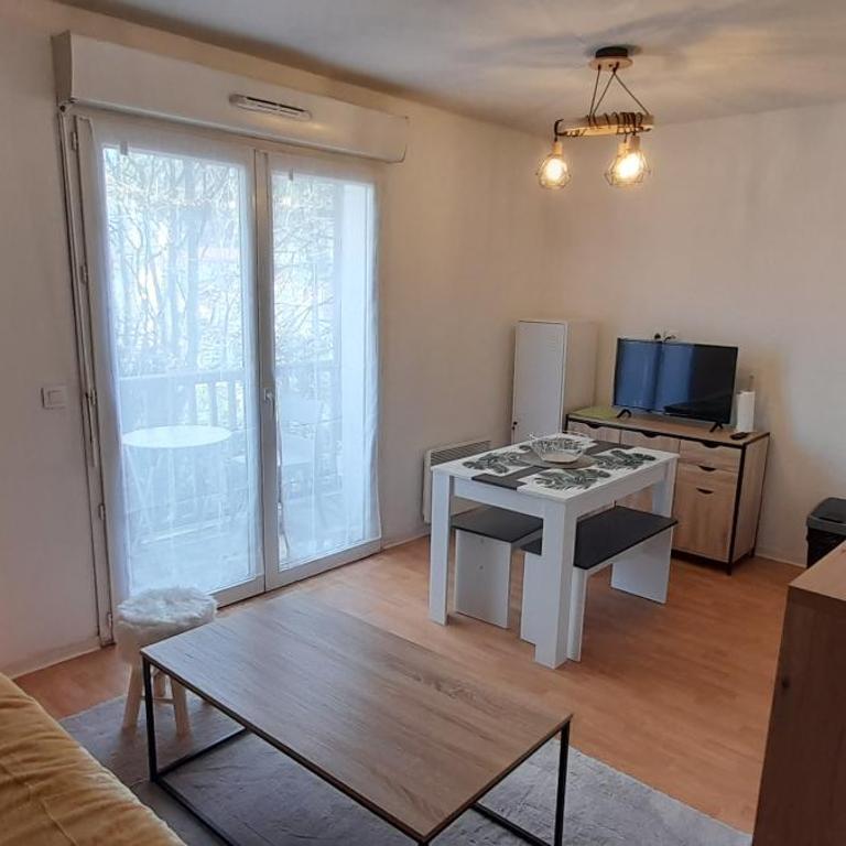 Appartement du Mouflon Vert, dans résidence de tourisme 3 étoiles - Appartamento Monolocale - 6