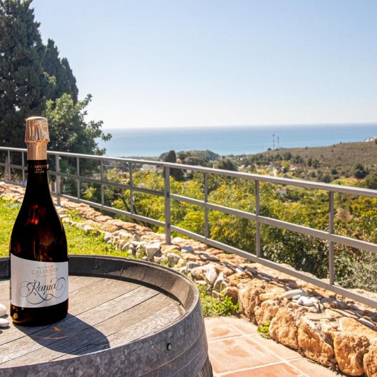 villa larwik frigiliana - Villa - 6