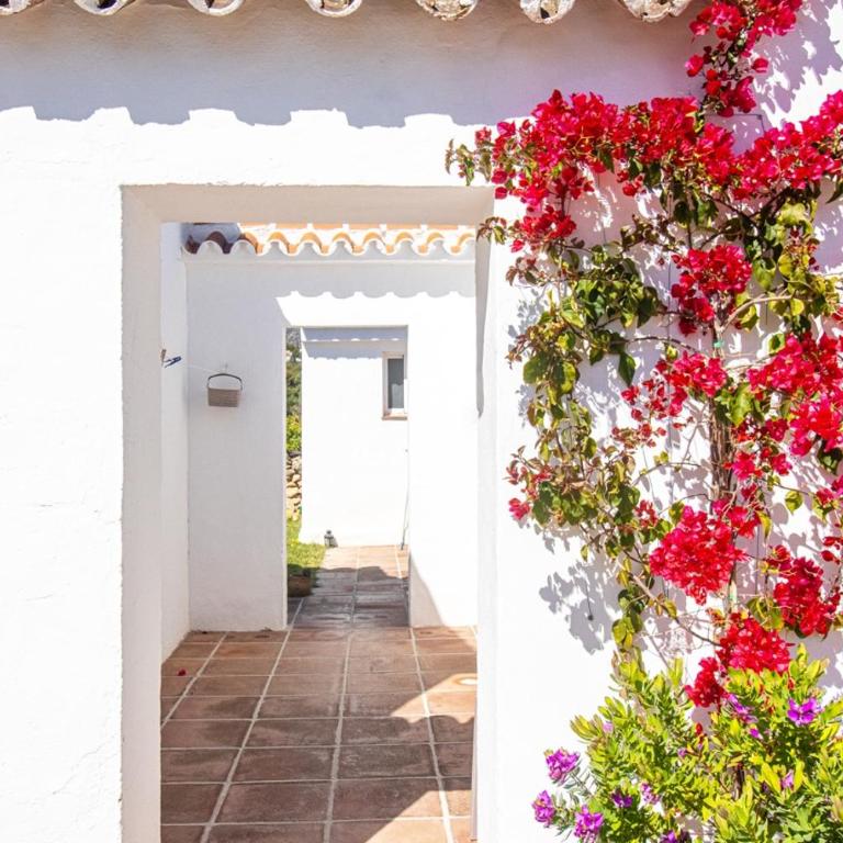 villa larwik frigiliana - Villa - 52