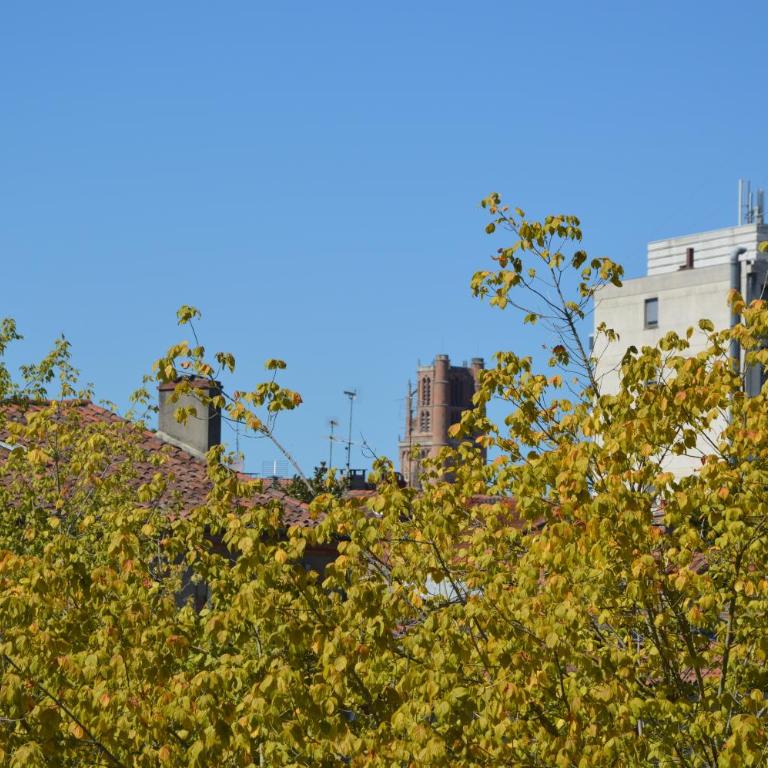 Volets Bleus et Briques Rouges - Apartment - 17
