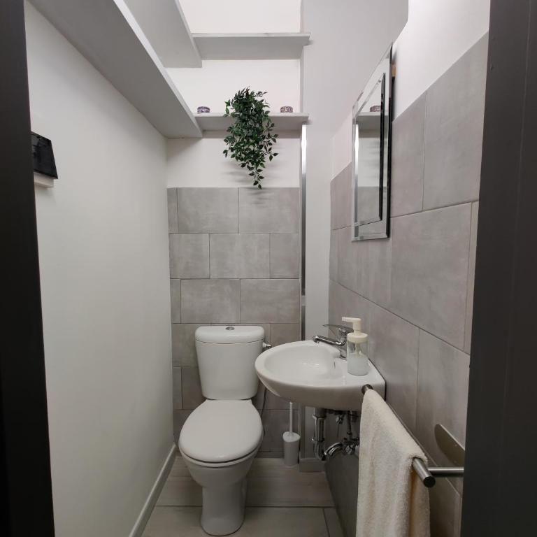 Delph's House - Superior Apartment - 25