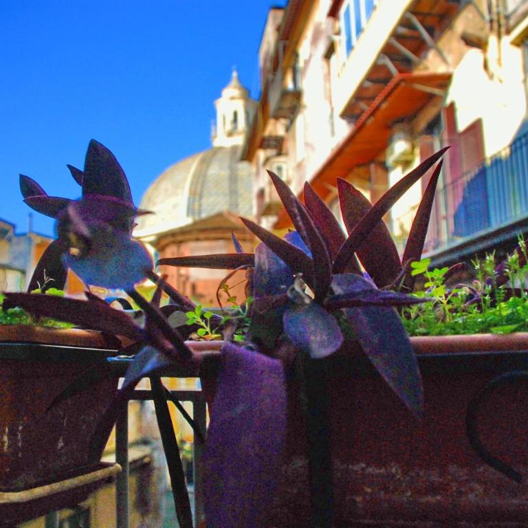 Tridente Storico Suites - Apartment with Balcony - 37