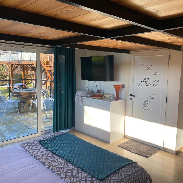 Petit chalet - Appartement 1 Chambre - 3