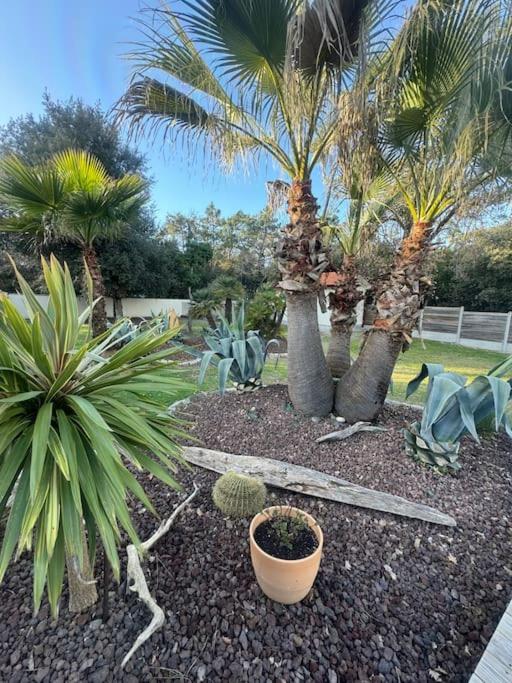 Le Chai de l'Océan - Villa Soulacaise plage à 100m Piscine Jardin 1400m2 - Villa 1 Chambre - 68