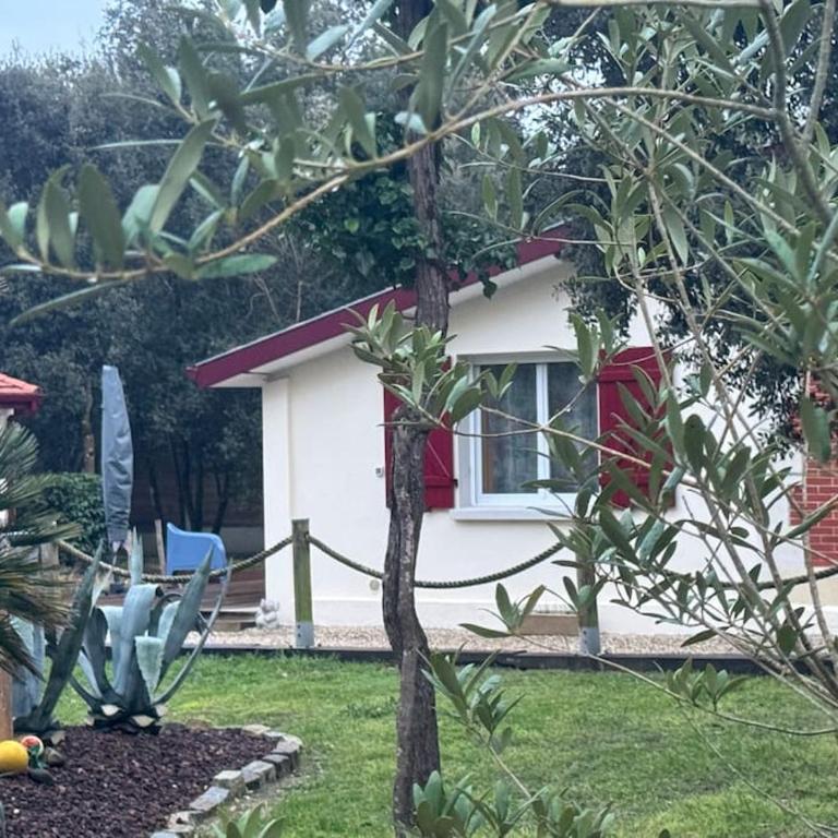 Le Chai de l'Océan - Villa Soulacaise plage à 100m Piscine Jardin 1400m2 - Villa 1 Chambre - 70