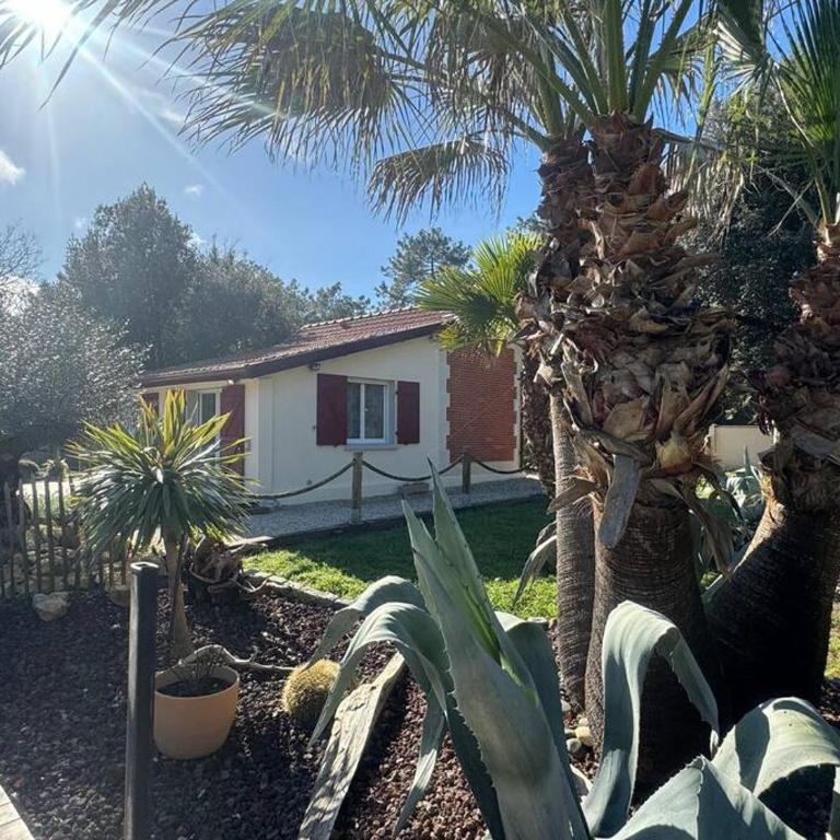 Le Chai de l'Océan - Villa Soulacaise plage à 100m Piscine Jardin 1400m2 - Villa 1 Chambre - 71