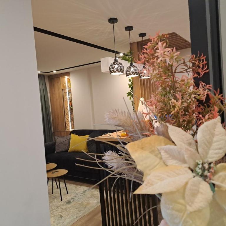 Stojanović Diwine - Apartman sa 1 Spavaćom Sobom - 4