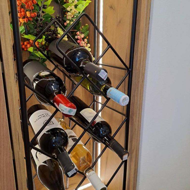Stojanović Diwine - Apartman sa 1 Spavaćom Sobom - 7