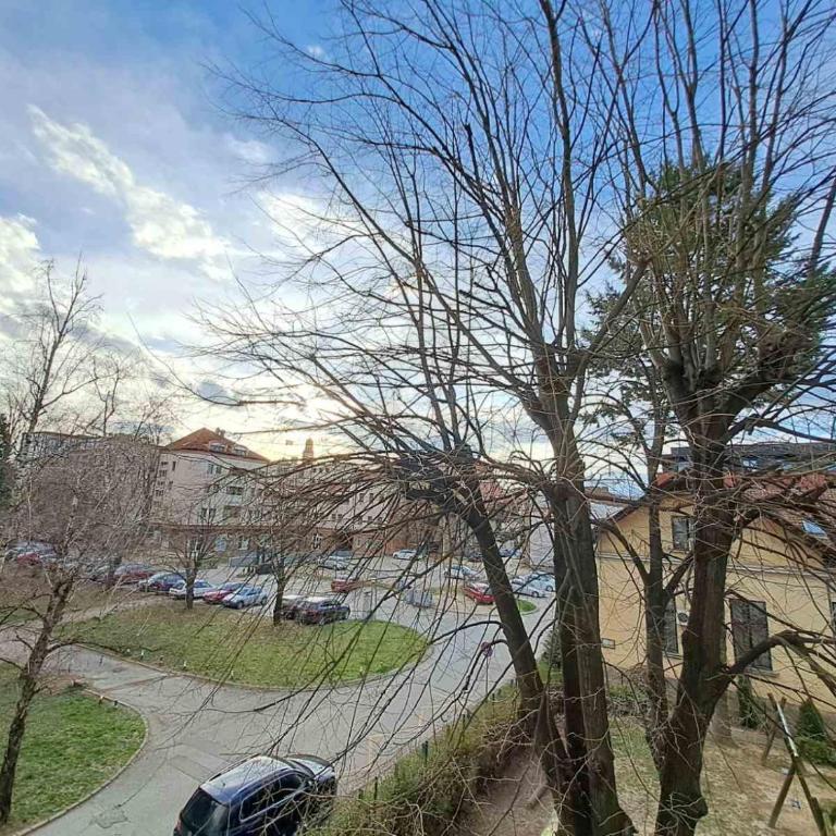 Stojanović Diwine - Apartman sa 1 Spavaćom Sobom - 9