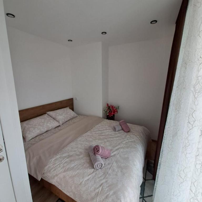 Stojanović Diwine - Apartman sa 1 Spavaćom Sobom - 10