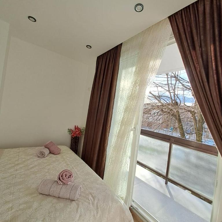 Stojanović Diwine - Apartman sa 1 Spavaćom Sobom - 14