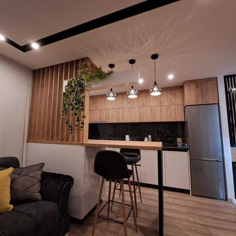 Stojanović Diwine - Apartman sa 1 Spavaćom Sobom - 22