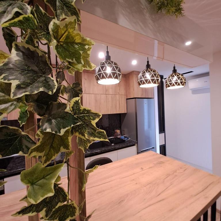 Stojanović Diwine - Apartman sa 1 Spavaćom Sobom - 23