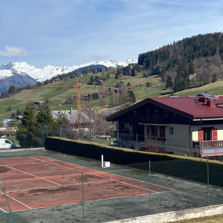 appartement 103m2 près de Megève, face à télécabine la Princesse,2 chambres , garage, local à ski - Appartement 2 Chambres - 53