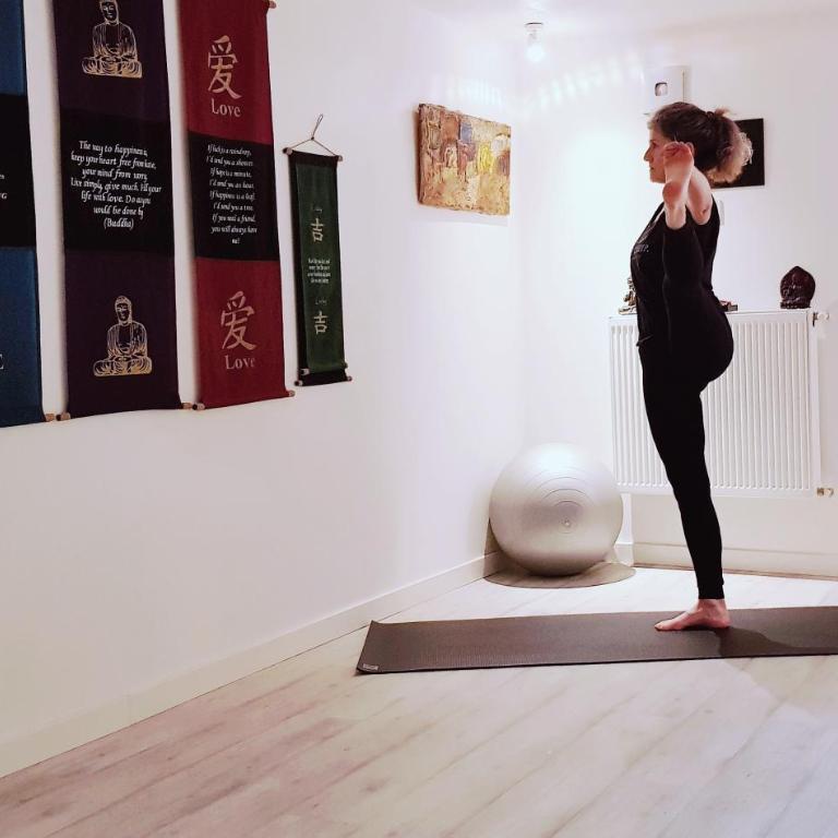 YOG Studio - Studio avec Vue sur Jardin - 3