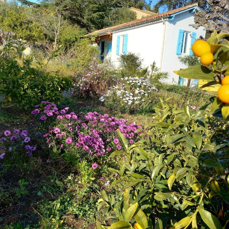 Maison indivi 4-6 Pers face a la mer grand Jardin Ideal Famille avec Animaux Saint Clair Le Lavandou - Maison 3 Chambres - 30