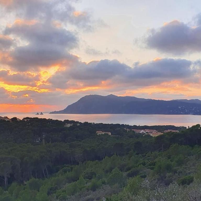 Vue Mer sur l'isthme plage à 2 min. Arrivée H24 - Apartment mit 1 Schlafzimmer - 13