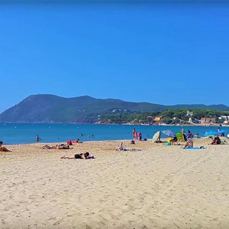 Vue Mer sur l'isthme plage à 2 min. Arrivée H24 - Apartment mit 1 Schlafzimmer - 15