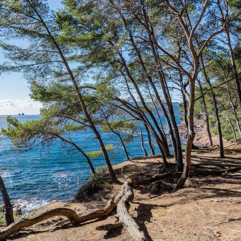 Vue Mer sur l'isthme plage à 2 min. Arrivée H24 - Apartment mit 1 Schlafzimmer - 16