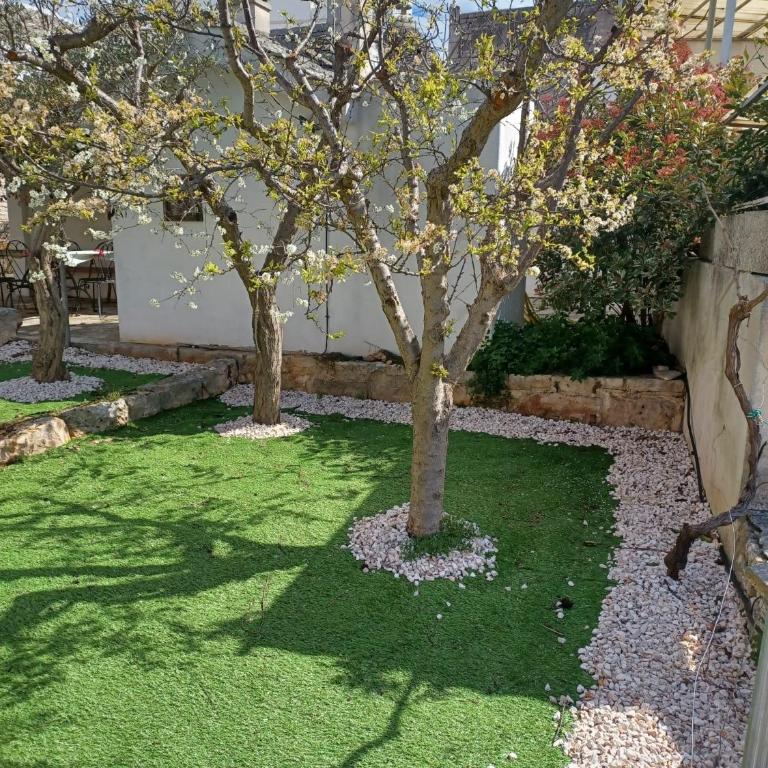 Trullo Vacanza - Casa Vacanze - 37