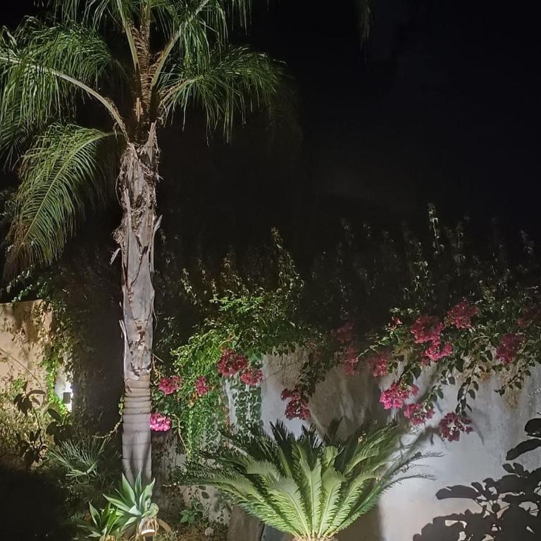 Cozy Suite&Lodge Mondello beach - Suite Familiare - 24
