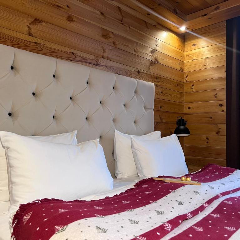 Chalet Kolašin - Deluks Suite - 4