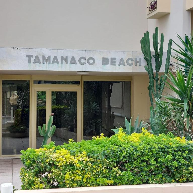 Seafront one bedroom apartment with a terrasse swimming pool and a parking - Appartement - 28
