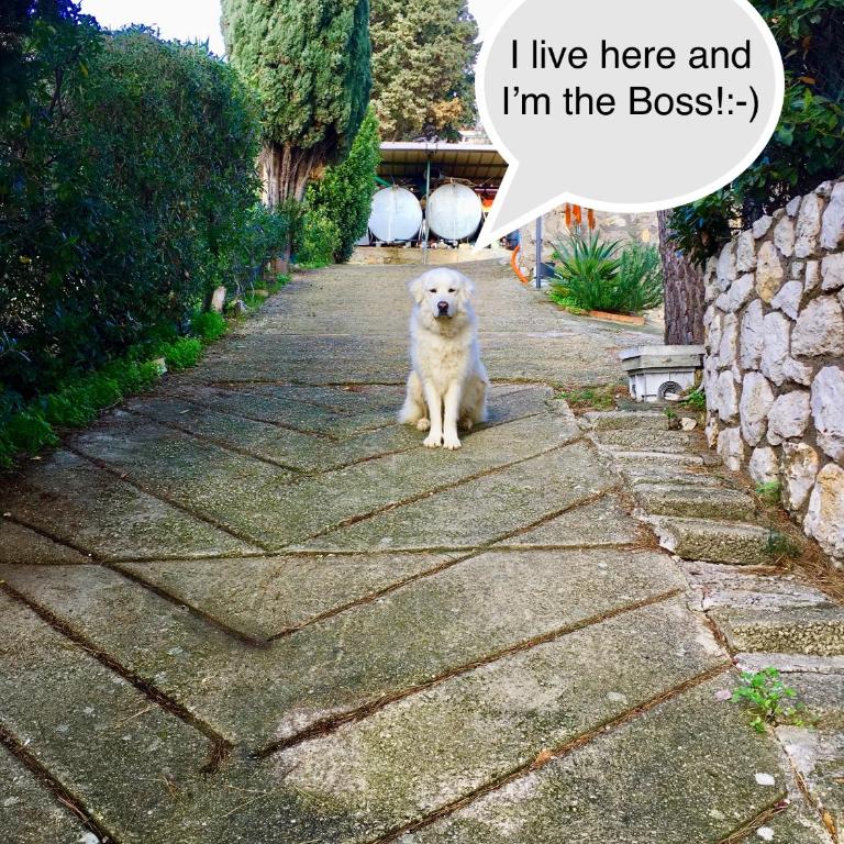 A Casa Di Eta - Casa Vacanze - 26