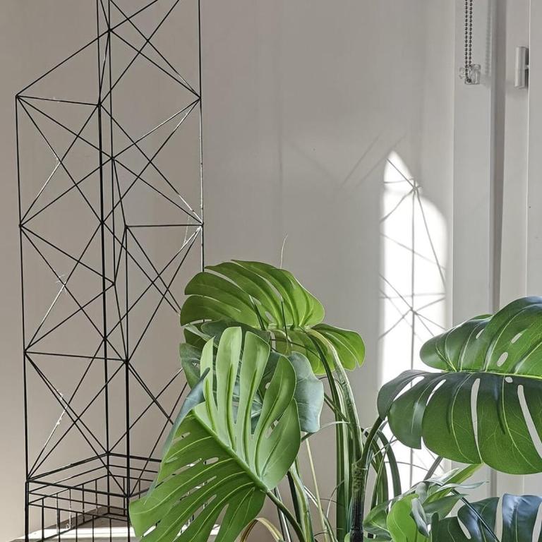 Saint-Germain-Des-Près Love Story - Appartement Supérieur - Vue sur Ville - 20