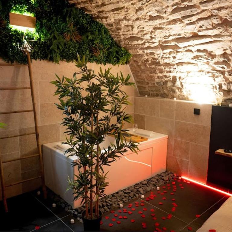 Hébergement insolite, Night Secret Groot - Appartement 1 Chambre - 1