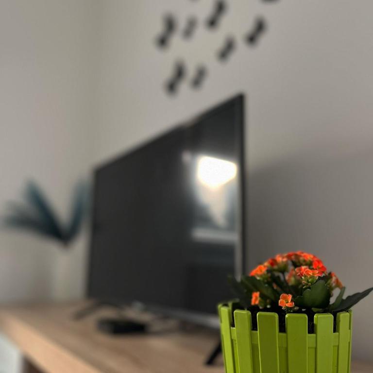 Apartman Nikolic - Apartman sa 2 Spavaće Sobe - 9