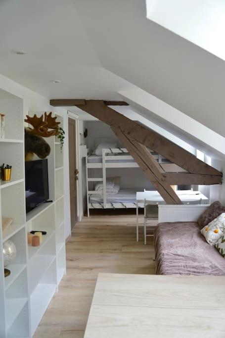 Studio rénové dans le centre - Appartement 1 Chambre - 1