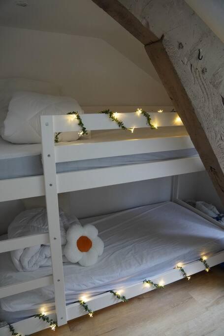 Studio rénové dans le centre - Appartement 1 Chambre - 5