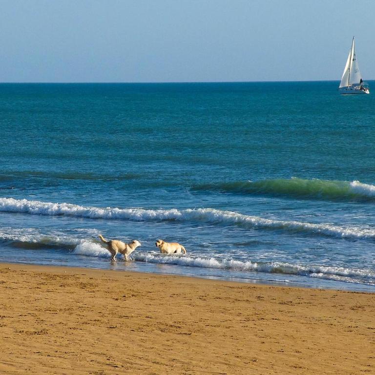 Lovely Home In Marina Di Ragusa - Five-Bedroom Holiday Home - 31